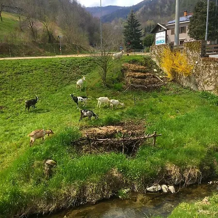 Reloup Isasca